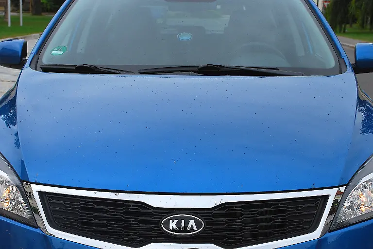 Kia-Ceed-02-09-2009-15-13-42