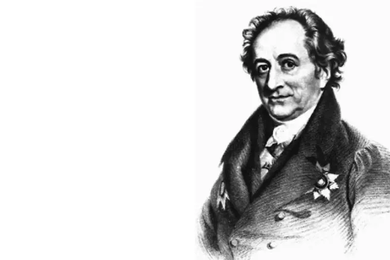 Zu-dieser-Erkenntnis-kam-Goethe-schon-im-19-Jahrhundert