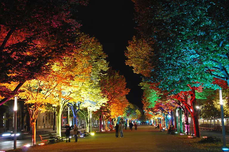 Festival-of-Lights-2009-19-10-2009-00-22-18