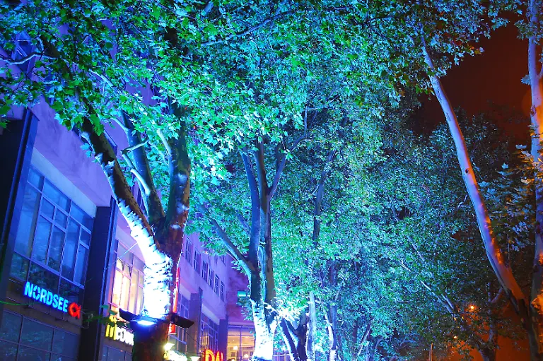 Festival-of-Lights-2009-23-10-2009-23-14-19
