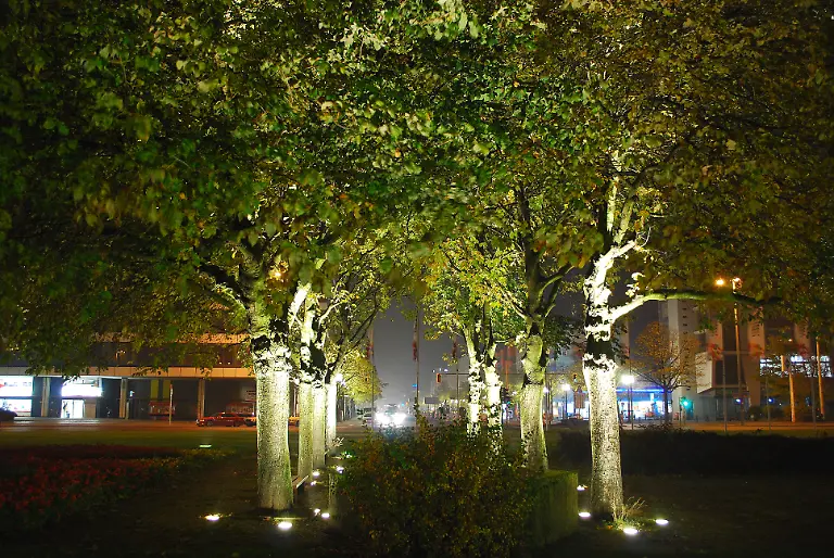 Festival-of-Lights-2009-23-10-2009-23-52-33