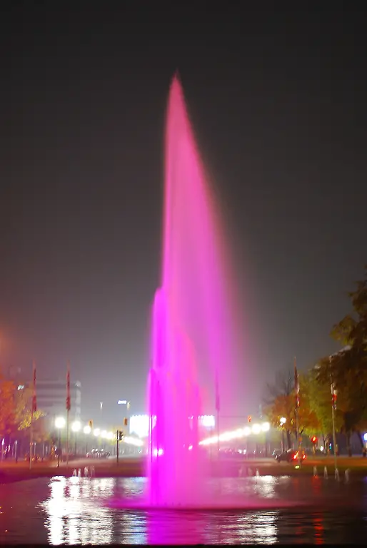 Festival-of-Lights-2009-23-10-2009-23-54-49