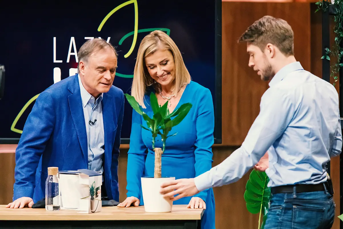 DHDL-S6-AZ6-20190220-7354