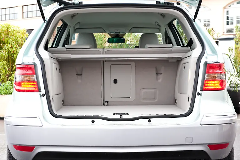 Smart-Monaco-F-Cell-30-von-75