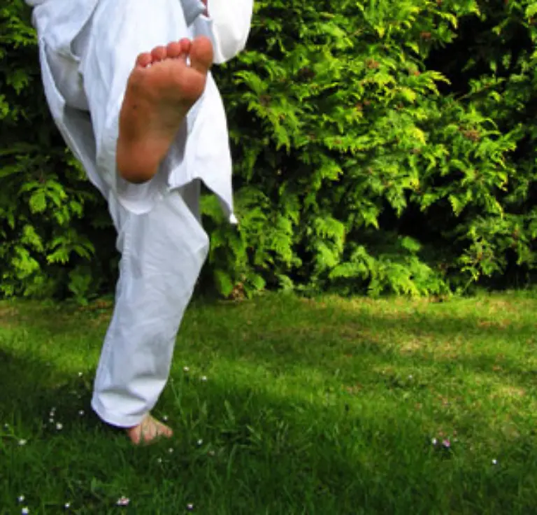 998115-src-path43