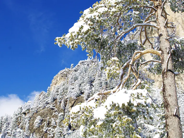 Alta-Badia-2009-12-02-13-19-10