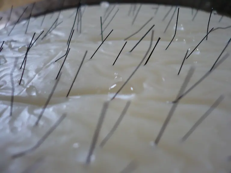 309245-R-by-J-Junge-pixelio-de