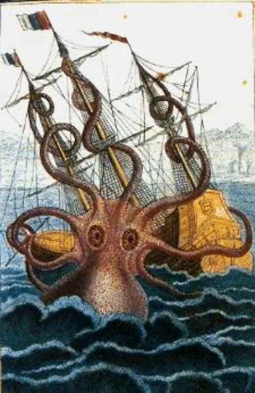 Colossal-octopus-by-Pierre-Denys-de-Montfort