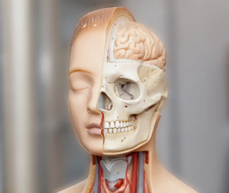 Rolf-van-Melis-pixelio-de