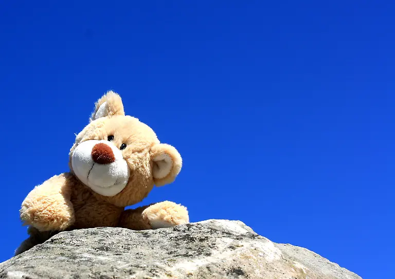 teddy