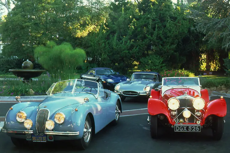 20JaguarXK120undXK8undETypeUndSS100