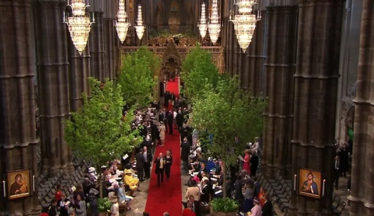 1304064635-jpg-preview2