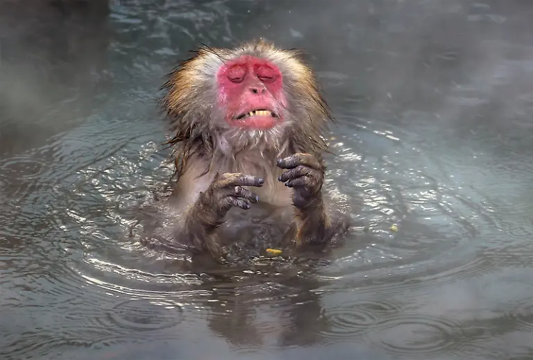 wei-ping-Peng-So-hot-00006854