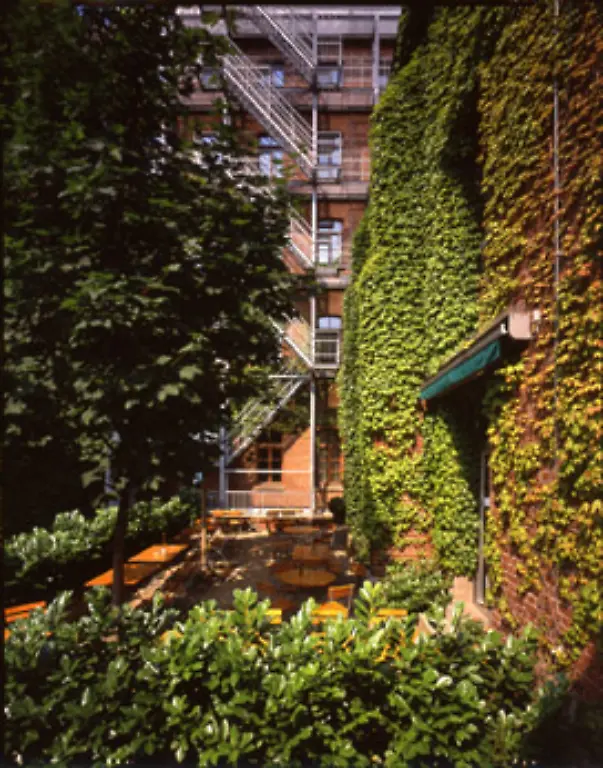 22rueckseitegarten