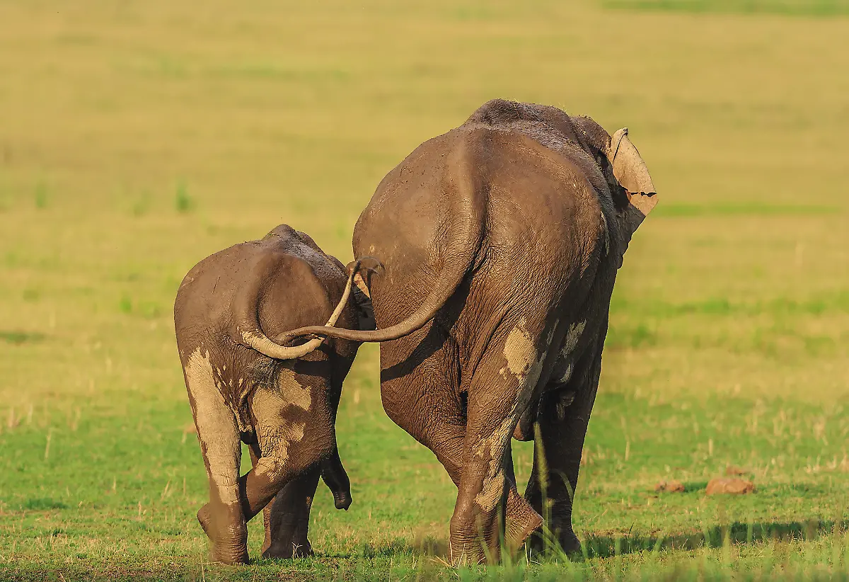 JAGDEEP-RAJPUT-Like-mother-like-daughter-00005004