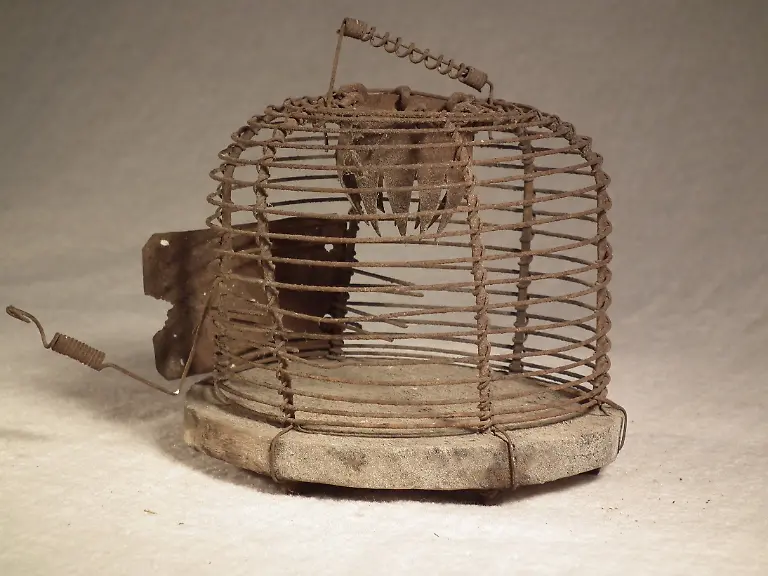 031Korbfalle3-resize