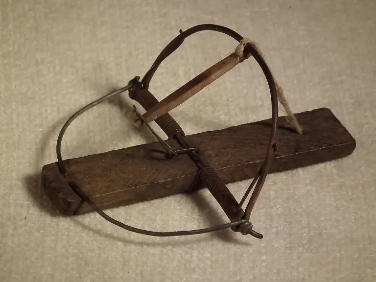 134Buegelschlagfalle1-resize