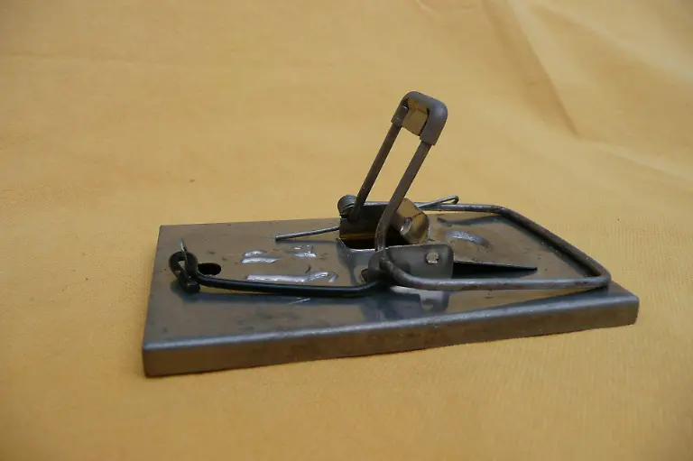 DDR-90-Falle-Mohr-resize