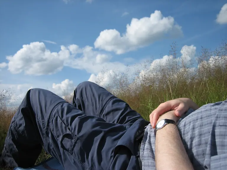 405913-R-by-Heike-Dreisbach-pixelio-de