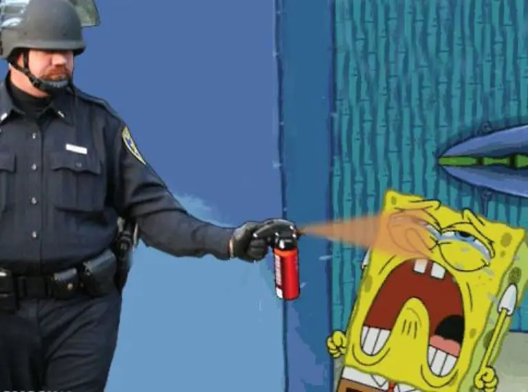 bob