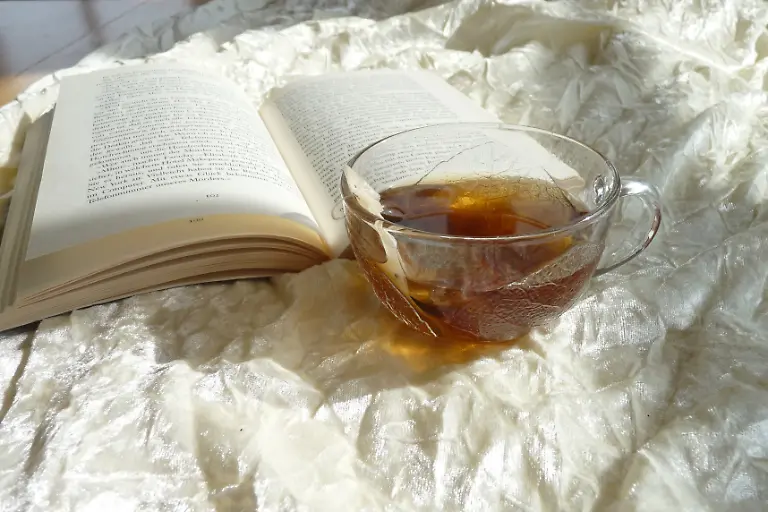 472613-original-R-B-by-Cathy-Brinkmann-pixelio-de