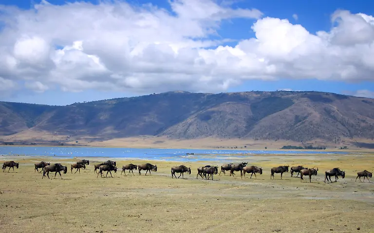 214996-original-R-K-by-Ulla-Trampert-pixelio-de