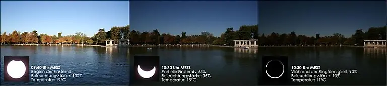 800PX-1