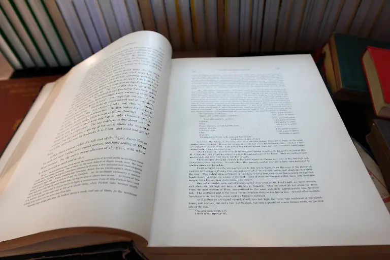 584278-original-R-by-Mika-Abey-pixelio-de