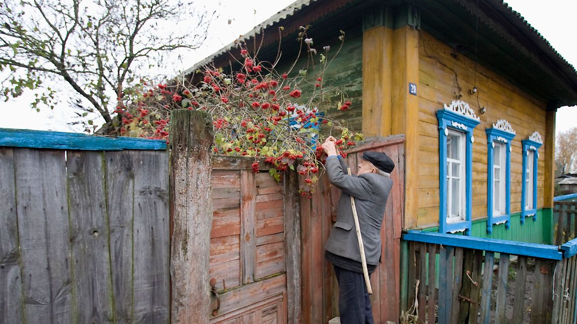 Selbstversorger: In Wetka ernähren sich viele von dem, was der Garten hergibt - aber nicht ohne vorherige Untersuchung auf Radioaktivität.