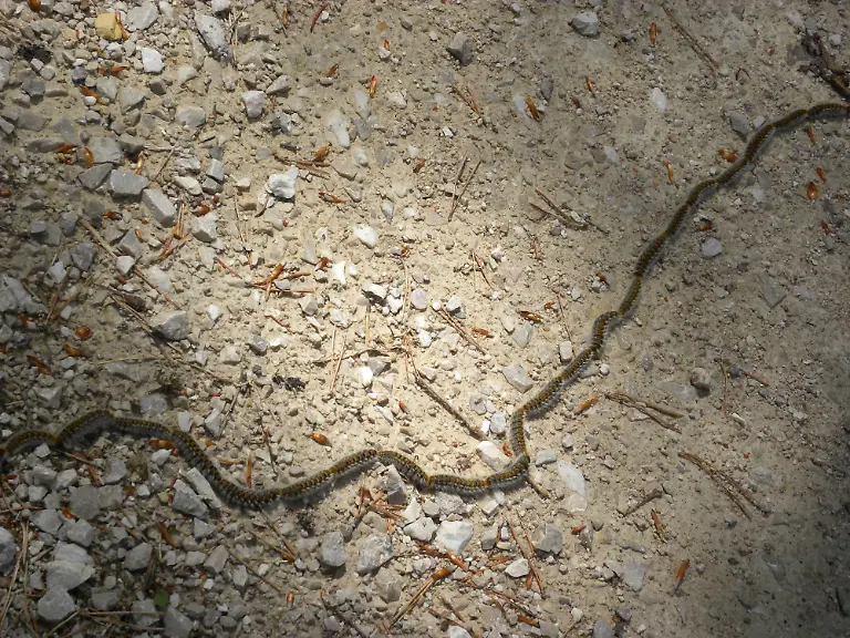 510308-original-R-by-hhsow-pixelio-de