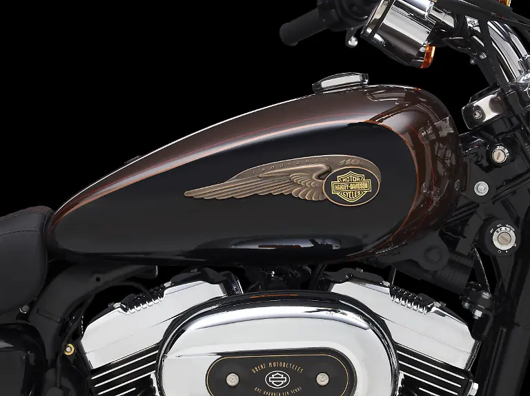 13-XL1200CAE-DET1