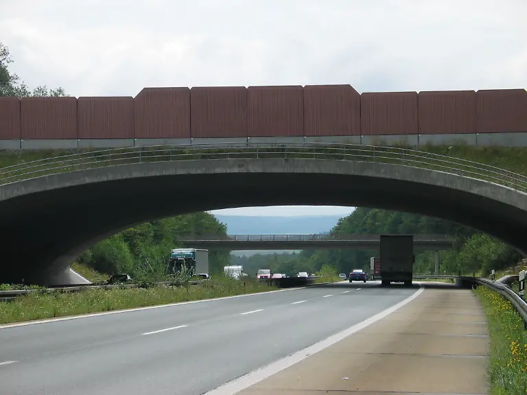 Bund-Gruenbruecke-Neuwirtshauser-Forst