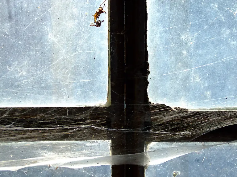 208071-original-R-K-B-by-Martin-Stauss-pixelio-de