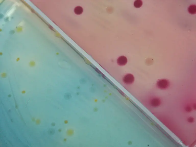 527842-original-R-K-B-by-Cornelia-Menichelli-pixelio-de