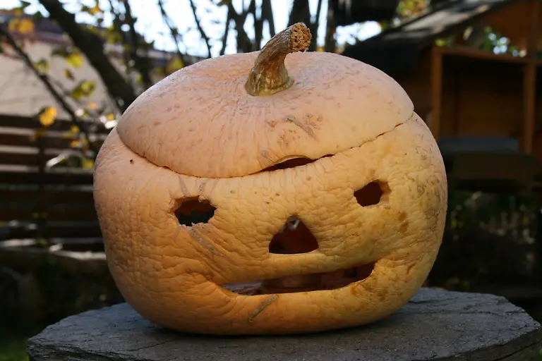 548113-original-R-by-Katrin-Hammer-pixelio-de