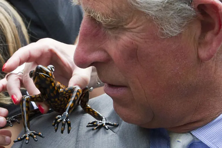 120706-charles-frosch-dpa-990-l