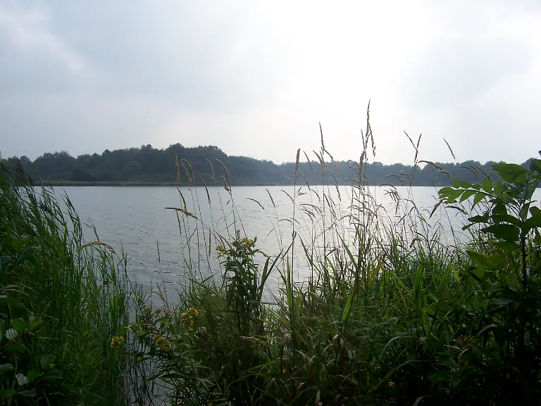 Dreifelder-Weiher-Ufer