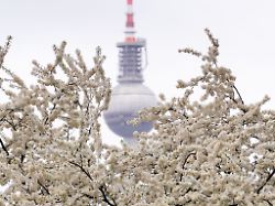 Berlin & Brandenburg: Frostige Nächte und Wechselwetter in Berlin und Brandenburg