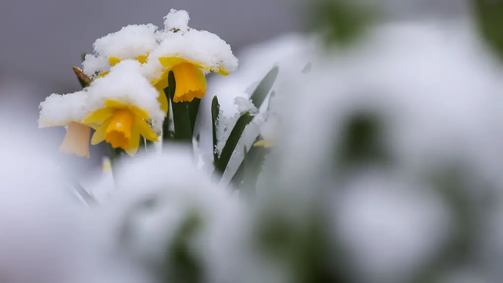 Am-Mittwoch-kann-in-hoeheren-Lagen-sogar-etwas-Schnee-fallen