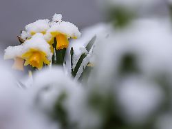 Baden-Württemberg: Graue Wochenmitte: Wann zeigt sich wieder die Sonne?