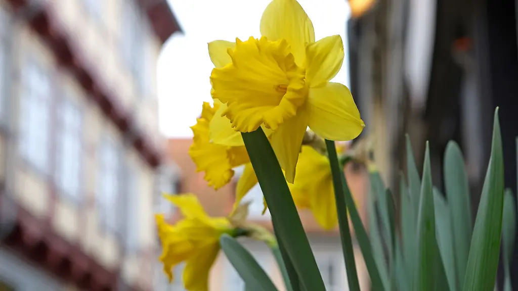 Nach-einem-Temperaturrueckgang-bleibt-das-Wetter-laut-Vorhersage-der-Meteorologen-in-den-kommenden-Tagen-wechselhaft-mit-Regen-und-Wolken