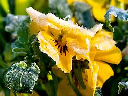 Nordrhein-Westfalen: Tagsüber heiter und nachts frostig in Nordrhein-Westfalen