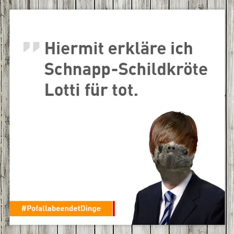 P-11-lotti