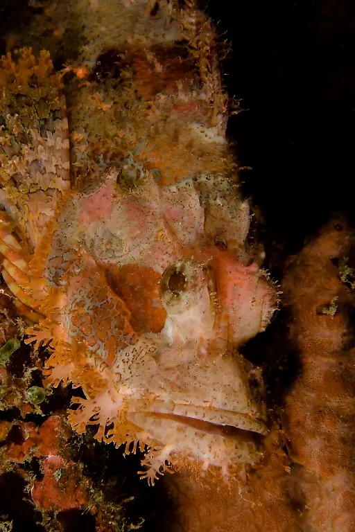 644697-original-R-by-Harald-Schottner-pixelio-de