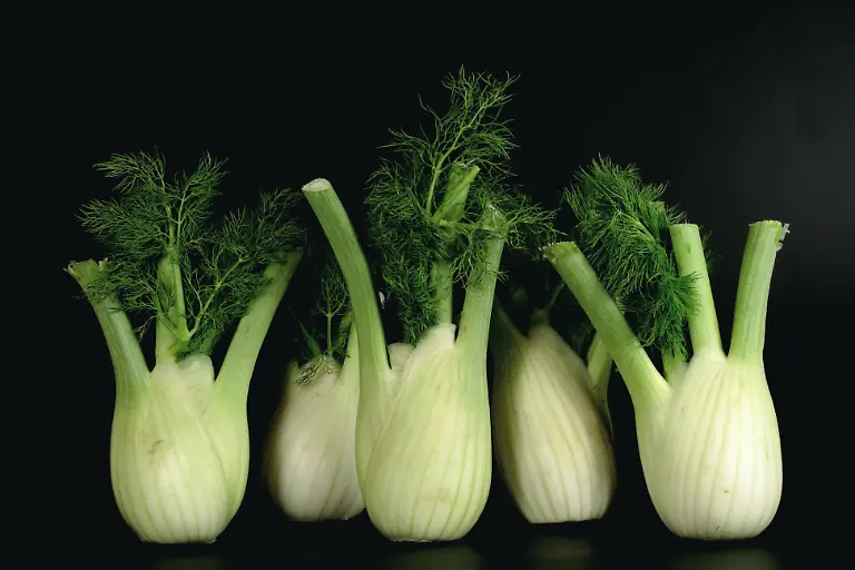 Fenchel3