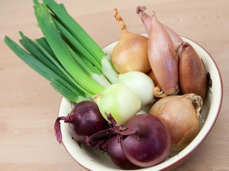 Zwiebeln-gibt-es-in-unterschiedlichen-Formen-und-Groessen-ob-eher-die-Schalotte-oder-die-Lauchzwiebel-passt-haengt-vom-Rezept-ab