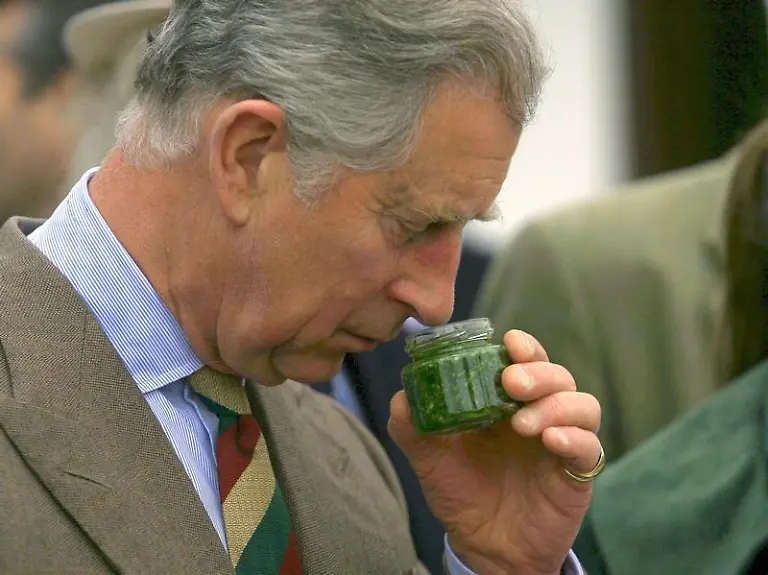 Prinz-Charles-im-Dorf-Saschiz-Rumaenien-Archivfoto-vom-08-05-2008