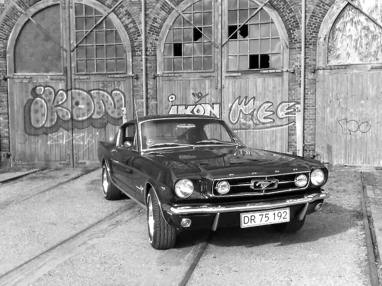Martin-Christensen-1965-Mustang-Stacey-2