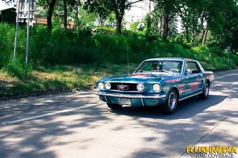 Mustang-Courtney-3-resize