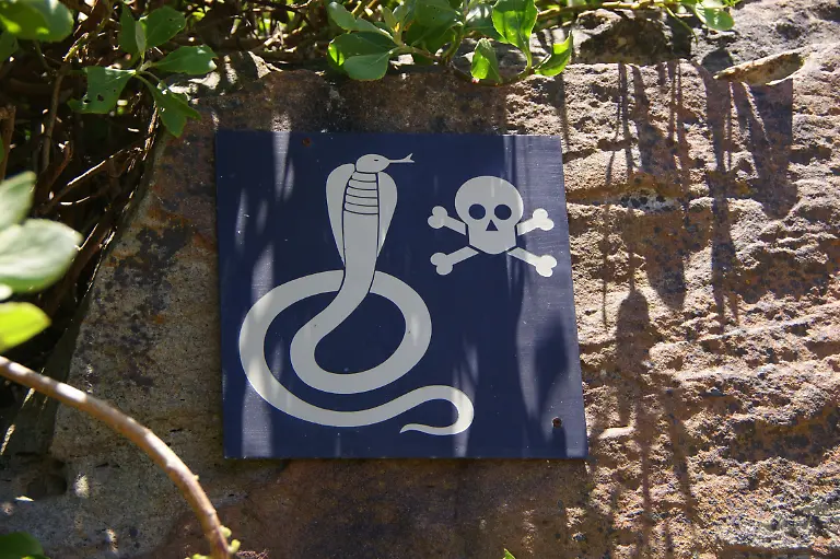 632318-original-R-B-by-Katharina-Wieland-Mueller-pixelio-de